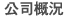 公司概況